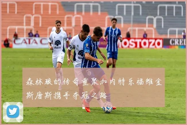 森林狼的传奇重聚加内特乐福维金斯唐斯携手夺冠之路